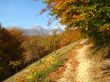 autumn scene