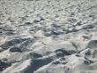 gray sand beach