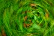 Green Grass Composition