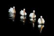 Four pelicans in a row