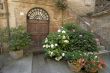 Buonconvento (Tuscany) - Door and potted plants