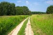 The road in the field