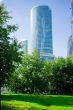 skyscraper and Nature