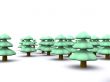 firtree