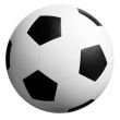 Soccer ball in white-black