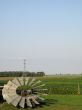agricultural green field