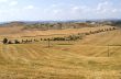 Crete senesi, characteristic landscape in Val d`Orcia