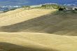 Crete senesi, characteristic landscape in Val d`Orcia