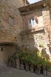 Villa a Sesta (Chianti) - House with plants and flowers