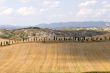 Crete senesi, characteristic landscape in Val d`Orcia