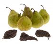 Pears and dried pears