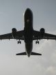 view of an airplane from under