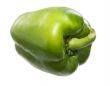 The green sweet pepper