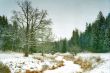 Ice covered river