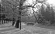 Park in winter monochrome
