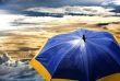 Beach umbrella