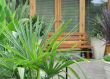 garden area and patio