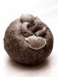 Mangosteen fruit