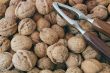 Walnuts