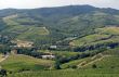 Chianti landscape near Radda, with vineyards and olive trees