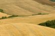 Crete senesi, characteristic landscape in Val d`Orcia