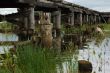 Old wooden bridge