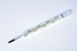Medical quicksilver thermometer isolated
