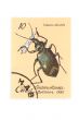 postage stamp beetle macro
