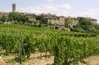 Villa a Sesta (Chianti) - The village and the vineyards