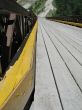 wooden bridge with yellow line