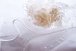 Wedding texture