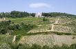Radda in Chianti - Ancient palace and vineyards
