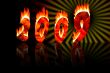 2009 numbers in fire reflect as 2010