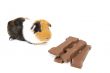 guinea pig with a chocolate letter for dutch holiday called sint