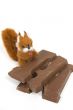 cute plushy squirrel with a chocolate letter for dutch holiday c