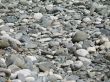a gray pile of rounded rocks