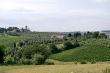 Landscape near San Gimignano (Tuscany)
