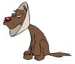Recovering Cartoon Dog