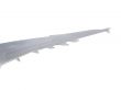 Big Airplane