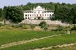 Radda in Chianti - Ancient palace and vineyards