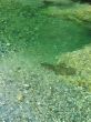 green river