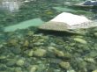 small green water river