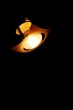 Light Bulb