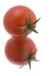 Red tomato on white background