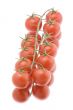 Red tomato on white closeup