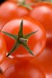 Red tomato