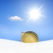 christmas bauble and beautiful background
