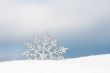 beautiful silver snowflake