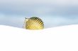 golden christmas bauble in snow