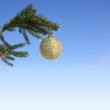 golden bauble on green tree